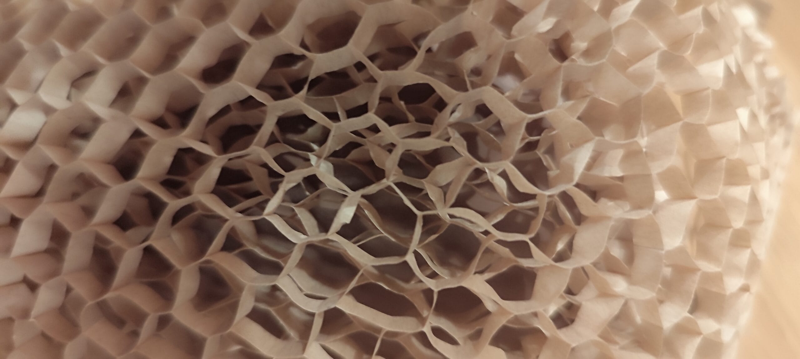 Papier plaster miodu 3D z bliska – wysokość ścianki 5 mm
